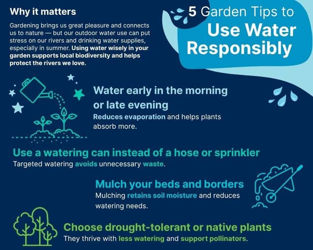 Simple changes will protect rivers and help your garden thrive