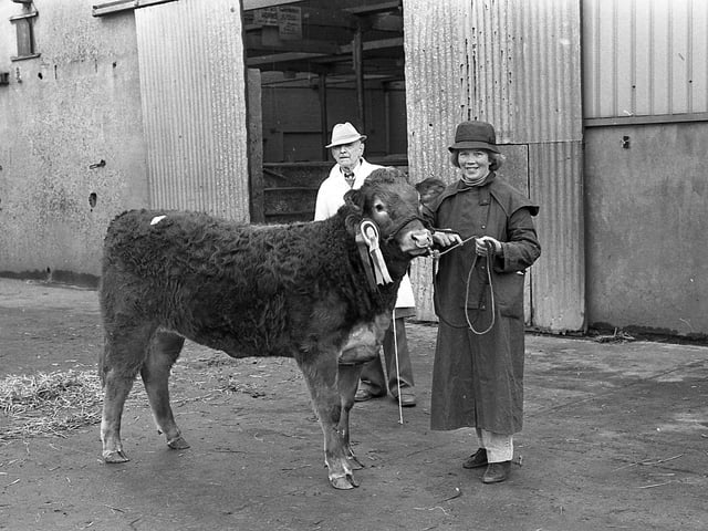 Trade for Limousins at the club sale in the Automart, Portadown, near the end of February 1992, was excellent and followed the trend that had been set in Perth. In this photograph we see Miss Margaret Buchanan of Sees Farm, Augher, Co Tyrone, with the reserve champion female, See Gemma. Picture: Farming Life/News Letter archives
