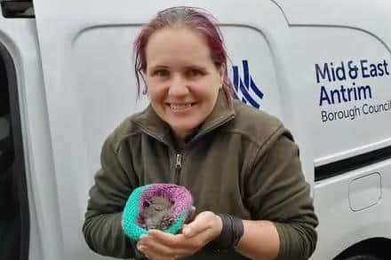 Debbie Doolittle (Debbie Nelson) at a previous bird rescue in Co Antrim