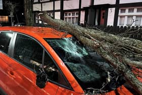 A tree branch fallen on a car on Lisburn Road in Belfast during Storm Isha on Sunday. Photo: Liam McBurney/PA Wire