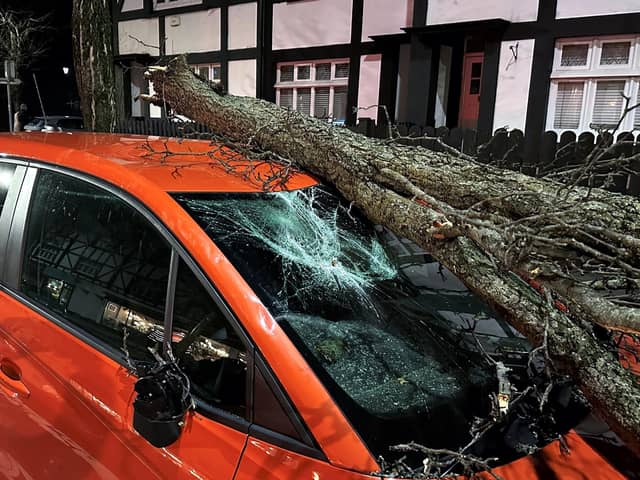 A tree branch fallen on a car on Lisburn Road in Belfast during Storm Isha on Sunday. Photo: Liam McBurney/PA Wire
