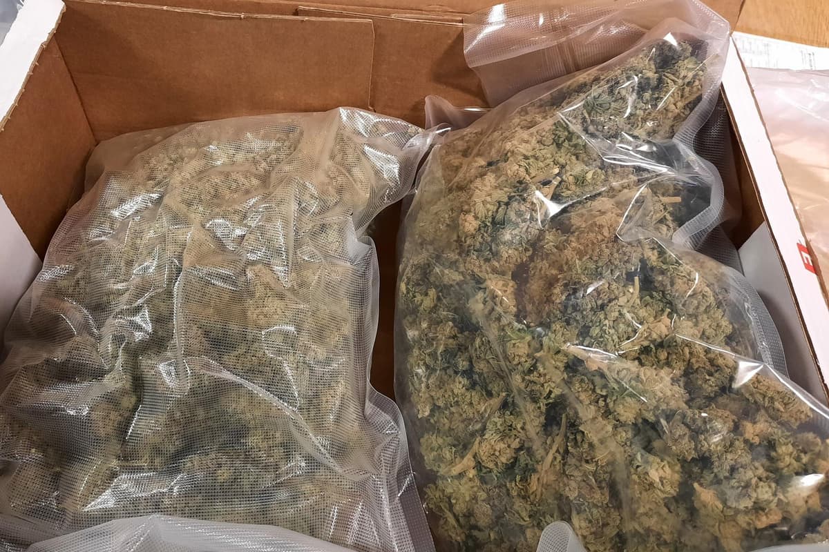 Man found with herbal cannabis with a street value of £204,000, money and drug-related paraphernalia