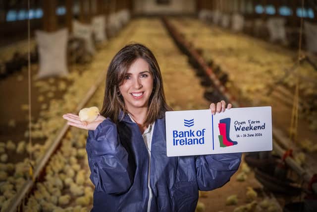 Northern Ireland businesswoman and social media star is lending her support to this year’s Bank of Ireland Open Farm Weekend. As an ambassador, Caroline O'Neill from Dungannon and well known by her handle, Digg Mama, will be sharing her culinary talents by cooking delicious recipes for her family featuring products from Moy Park and Farm Quality Assured Lamb endorsed by the Livestock and Meat Commission (LMC)