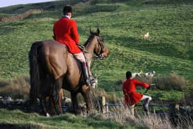 A hunting party in the countryside. Pic: scalesy - stock.adobe.com