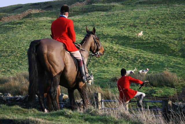 A hunting party in the countryside. Pic: scalesy - stock.adobe.com