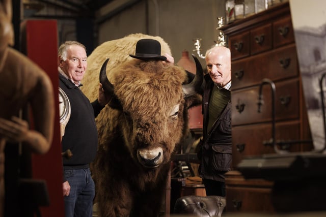 Gerard Derry of Derrys Furniture, Armagh with Victor Mee of Victor Mee Auctions with a taxidermy model of Bison with drinks cabinet just one of the key lots from Victor Mee's Medussa Architectural & Antique Sale