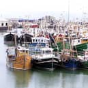 Fishing boats in Kilkeel harbour. Scampi is at risk of disappearing from pub menus if ministers do not create a bespoke visa scheme for foreign fishermen, Conservative MP Sir Robert Goodwill has warned. He raised the case of Whitby Seafoods, which operates in his constituency and in Kilkeel in Northern Ireland, relying on Filipino fishermen to bring in the langoustines needed to make scampi