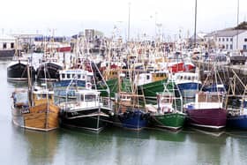 Fishing boats in Kilkeel harbour. Scampi is at risk of disappearing from pub menus if ministers do not create a bespoke visa scheme for foreign fishermen, Conservative MP Sir Robert Goodwill has warned. He raised the case of Whitby Seafoods, which operates in his constituency and in Kilkeel in Northern Ireland, relying on Filipino fishermen to bring in the langoustines needed to make scampi