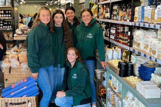 Saintfield's enterprising Emily delivers fresh locally sourced foods in ...