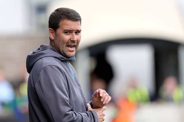 Linfield manager David Healy pictured during today's clash at Stangmore Park