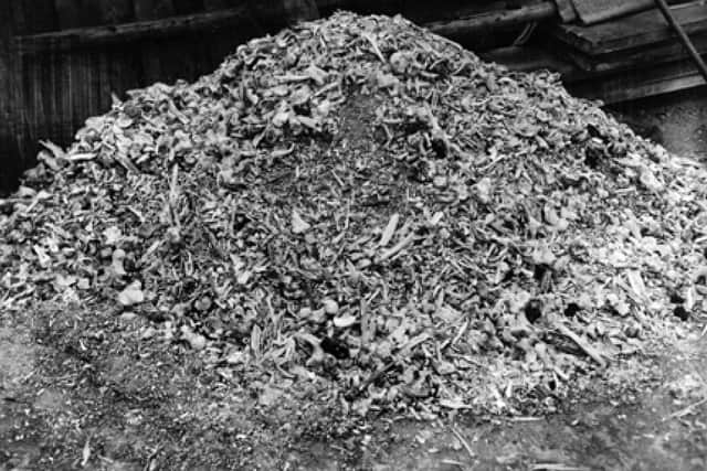 Image from the Dwight D. Eisenhower Presidential Library showing "pile of ashes and bones found by U.S. soldiers at Buchenwald concentration camp in Germany", dated April 14, 1945