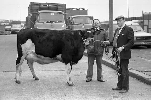 Pictured in March 1983 is Edmund Arthur from Ballywalter, Templepatrick, with his supreme champion Friesian at a show and sale held at Allams, Belfast. Included is the judge Thomson Wade. Picture: News Letter archives/Darryl Armitage