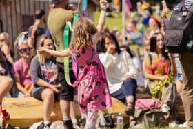 People of all ages enjoy this year's Stendhal festival as record numbers attended the three-day event. Photo: Sean McQuaid