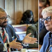 James Cleverly and Margaret Ritchie in the Lords committee today