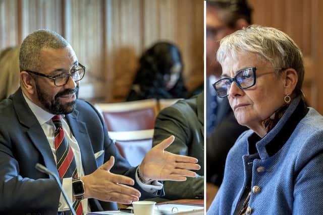 James Cleverly and Margaret Ritchie in the Lords committee today
