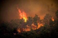 Greece wildfires: Jet 2.com outlines which of its Rhodes resorts will be safe to  travel to after July 31