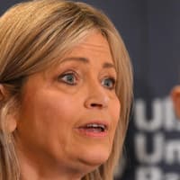 Red tape 'shutting farmers out' of valuable tourism market, says UUP: Call to relax planning laws to help Northern Ireland catch up to England