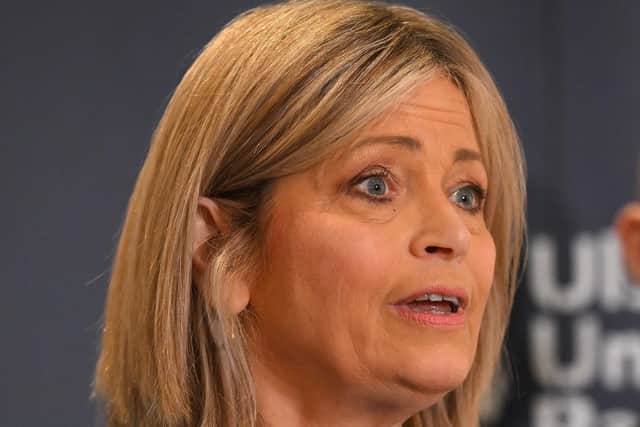 Ulster Unionist deputy leader Diana Armstrong called for farm planning laws in Northern Ireland to be relaxed to match those in England. Photo: Presseye/Stephen Hamilton