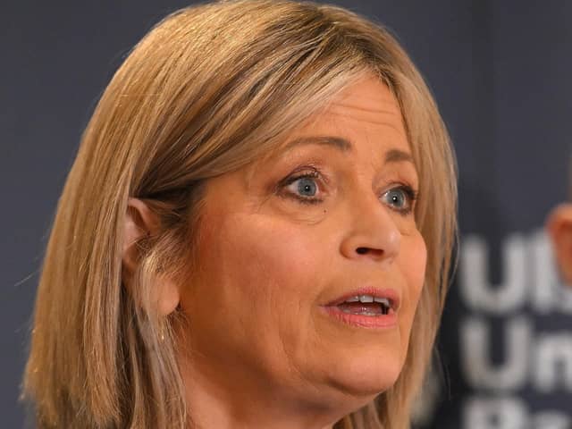 Ulster Unionist deputy leader Diana Armstrong called for farm planning laws in Northern Ireland to be relaxed to match those in England. Photo: Presseye/Stephen Hamilton
