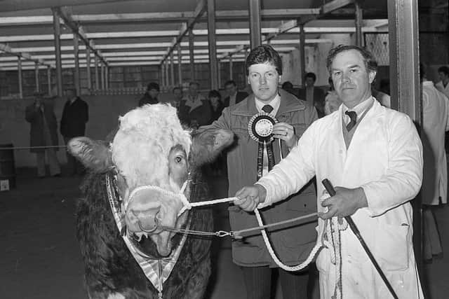 Pictured in March 1983 is Joe Campbell from Strabane, with the supreme champion bull at the breed show and sale which was held at the Automart, Portadown. Handing over the championship rosette is K M McNeely, agriculture department, Northern Bank. Picture: Farming Life/News Letter archives