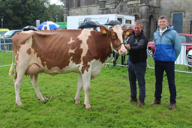 The Dairy Inter-Breed Champion at Fermanagh Show 2023