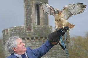 Northern Ireland Game Fair director Albert Titterington from Downpatrick has announced his retirement due to ‘personal health issues’. He is pictured with one of his feathered friends