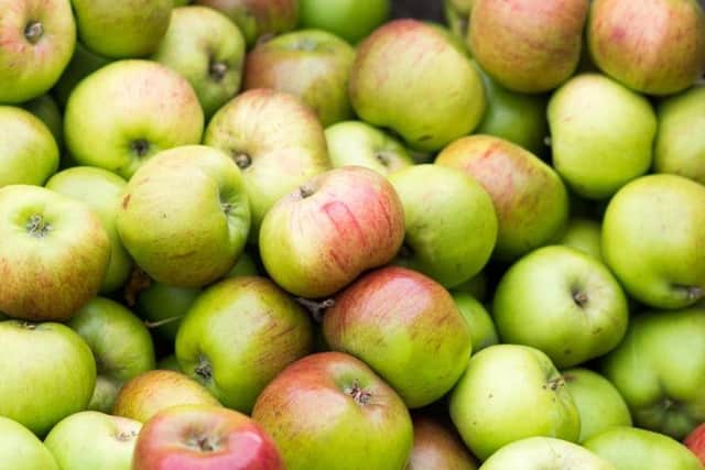 Living in Co Armagh, which is of course famous for its orchards, you could easily take apples for granted. However, at the end of October each year, the people of Richhill, itself surrounded by orchards, celebrate the locally grown Bramley Apple. Picture: Richhill Apple Harvest Fayre