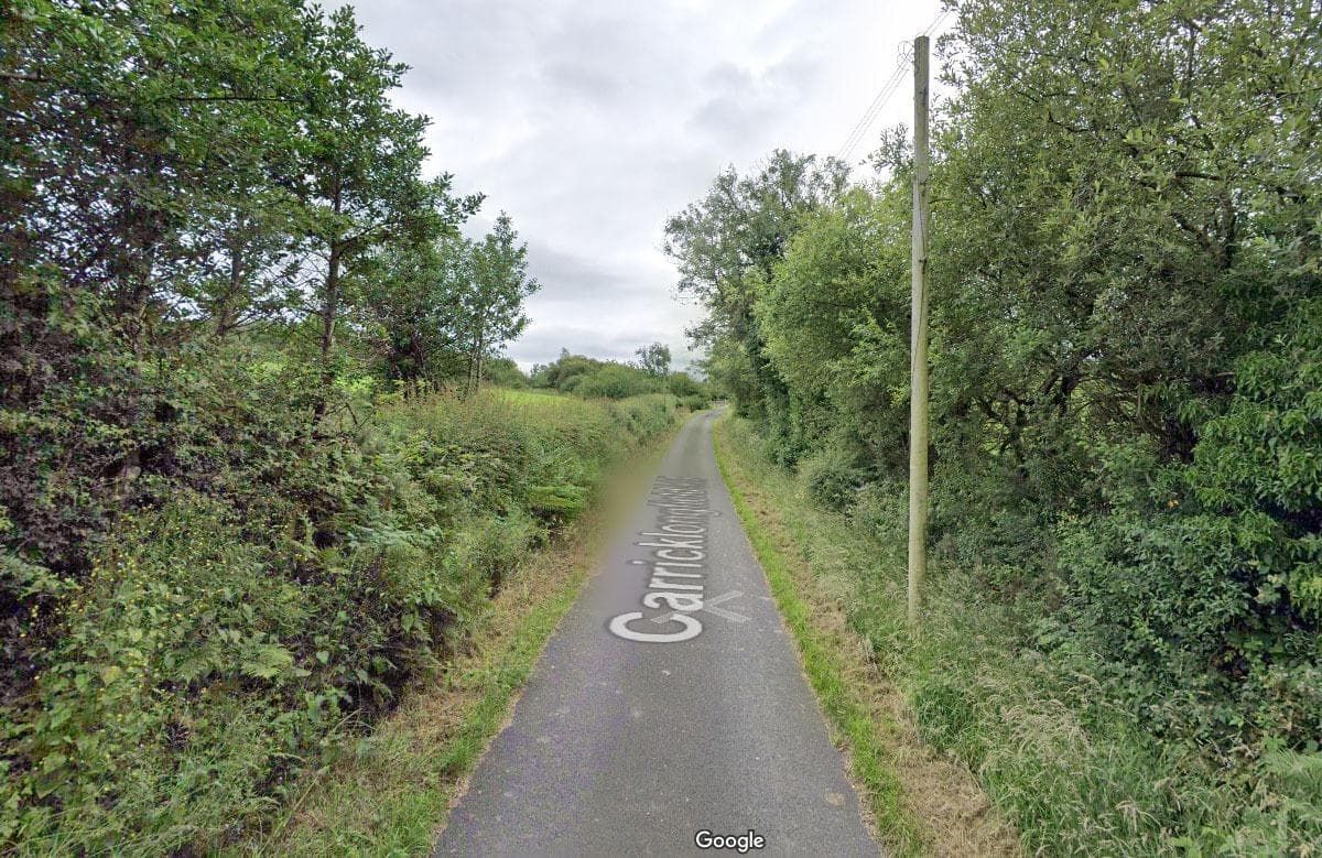 Police make appeal after two dogs with a weight attached found dead in Co Tyrone lake