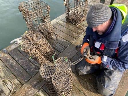 A restoration initiative, led by Ulster Wildlife, could see up to 800 million oyster larvae released into surrounding waters every year to protect the decimated oyster population and promote biodiversity