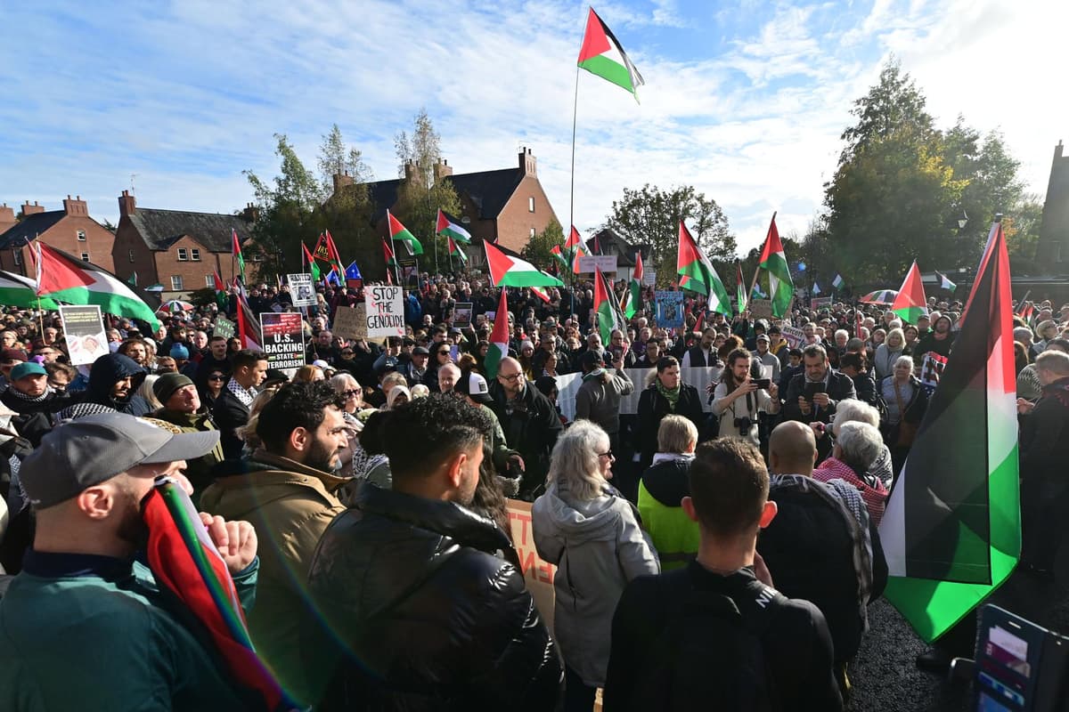 Concerns over Armistice Day pro-Palestine parades