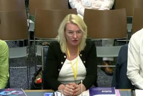 Fidelma Fearon on her previous appearance before the committee
