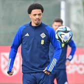 Jamal Lewis has withdrawn from the Northern Ireland squad due to injury
