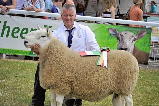 Melfyn Williams winning the North Country Cheviot champion at the Royal Welsh Show in 2013. Picture:  North Country Cheviot Sheep Society