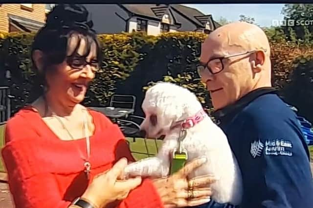Issy is reunited with owner Isabella Roden thanks to Mid and East Antrim Borough Council's Nigel Devine