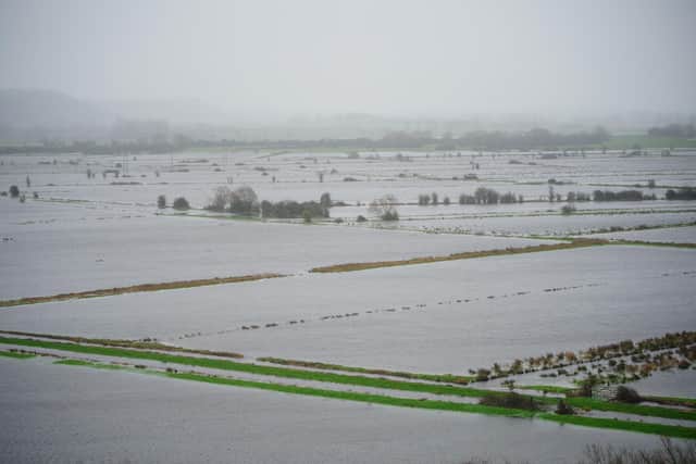 Flooded fields by the River Parrett at Somerset Levels near Bridgwater in Somerset. Parts of the UK face ice and heavy rain with the potential for flooding as the holiday period continues. Picture date: Wednesday December 28, 2022.