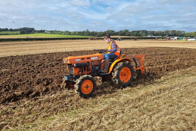 The working day was an excellent opportunity for both young and old to fine tune their ploughing skills in the fields. Picture: Jonathan Haire