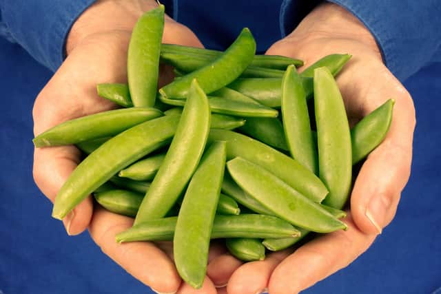 Sugar snap peas are high in vitamins C and K