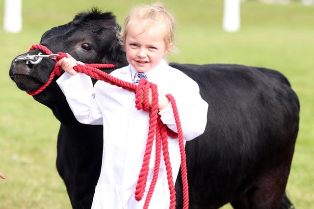 Crumble the Dexter shown by six-year-old Sarahjane Lester from Armagh. Picture by Jonathan Porter/PressEye