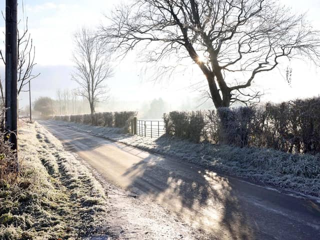Much of Northern Ireland has ushered in December 2023 with a seasonal covering of frost throughout the day. Pictured is a frosty lane in Co Antrim.
Photo: Pacemaker, STEPHEN DAVISON