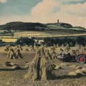An old postcard showing tractor and binder binding corn with Scrabo Tower in the background. Picture: Darryl Armitage/News Letter archives