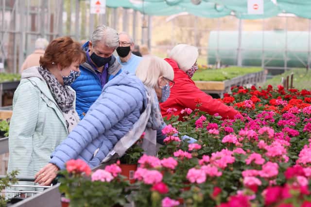 Hillmount Garden Centre in Belfast (pictured) has expressed concern over whether the Windsor Framework will restore the same levels of profitability as pre-Protocol levels.