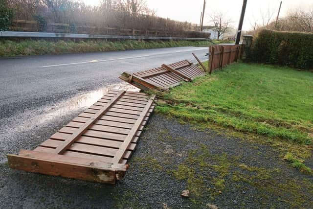 A reader sent this photo in of a fence blown down by Storm Isha on the Mobuoy Road in Dungiven.