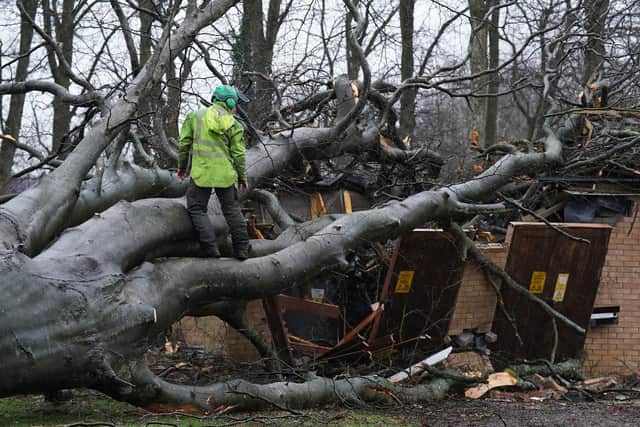 Workers remove a tree that fell on an electricity substation on the Kinnaird estate in Larbert during Storm Isha on Sunday