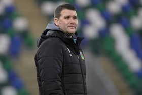 Linfield manager David Healy was critical about the playing surface at Windsor Park following his side's Irish Cup victory against Ballymena United