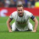 Harry Kane of Tottenham Hotspur looks on from the ground after missing a chance to score during the UEFA Champions League round of 16 leg two match between Tottenham Hotspur and AC Milan at Tottenham Hotspur Stadium.