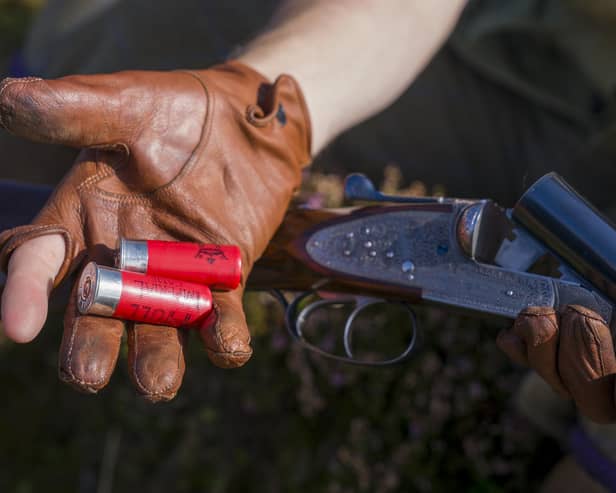 Repeated concerns have been raised about the impact of hunting with dogs legislation on shooting in Northern Ireland.