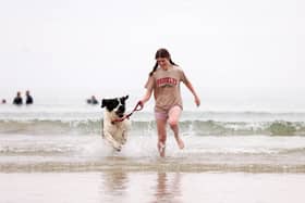Happier times: Alex Trotter with Spot the St Bernard on Portstewart Strand in County Antrim last summer. This year blue-green algae has been detected at the beach.
Photo: Press Eye - Belfast - Northern Ireland - 16 July 2022.