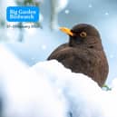 Given something back to nature and sign up for this year's Big Garden Birdwatch