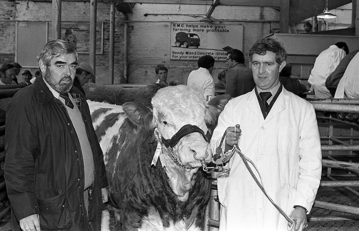 Bygone Days: Ulster milk levy row threatens to 'boil over&#8217; in bitter acrimony (1977)