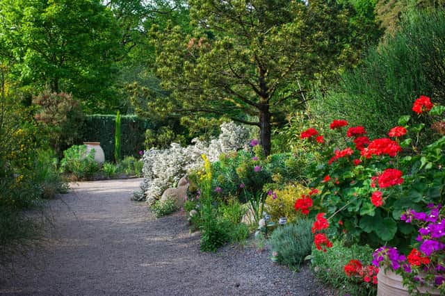 A Mediterranean garden at RHS Garden Rosemoor.